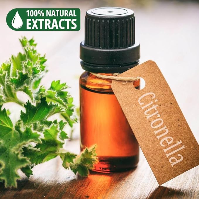 Bless-Citronella 100%-Natural-Handmade-Hand-Dipped-Incense-Sticks Organic-Chemicals-Charcoal-Free Purification-Relaxation-Positivity-Yoga-Meditation Best-Woods-Scent (100 Sticks (5.25 OZ))