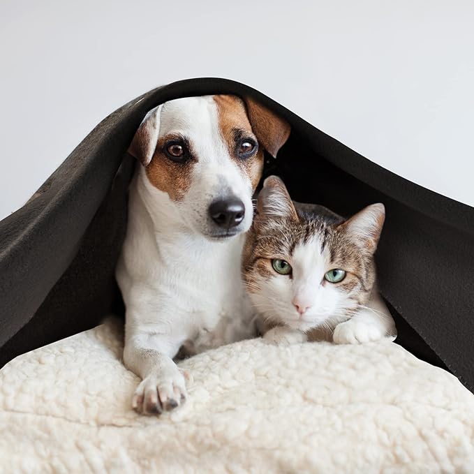 CAI TENG Fleece Throw Blankets Lightweight Warm for Soft Cozy Pet-Friendly Bulk Fleece Blanket Solid for Home, Bed, Sofa, Dorm, Office, Gifts, Outdoor (Black, Pack of 6-50 x 60 inch)