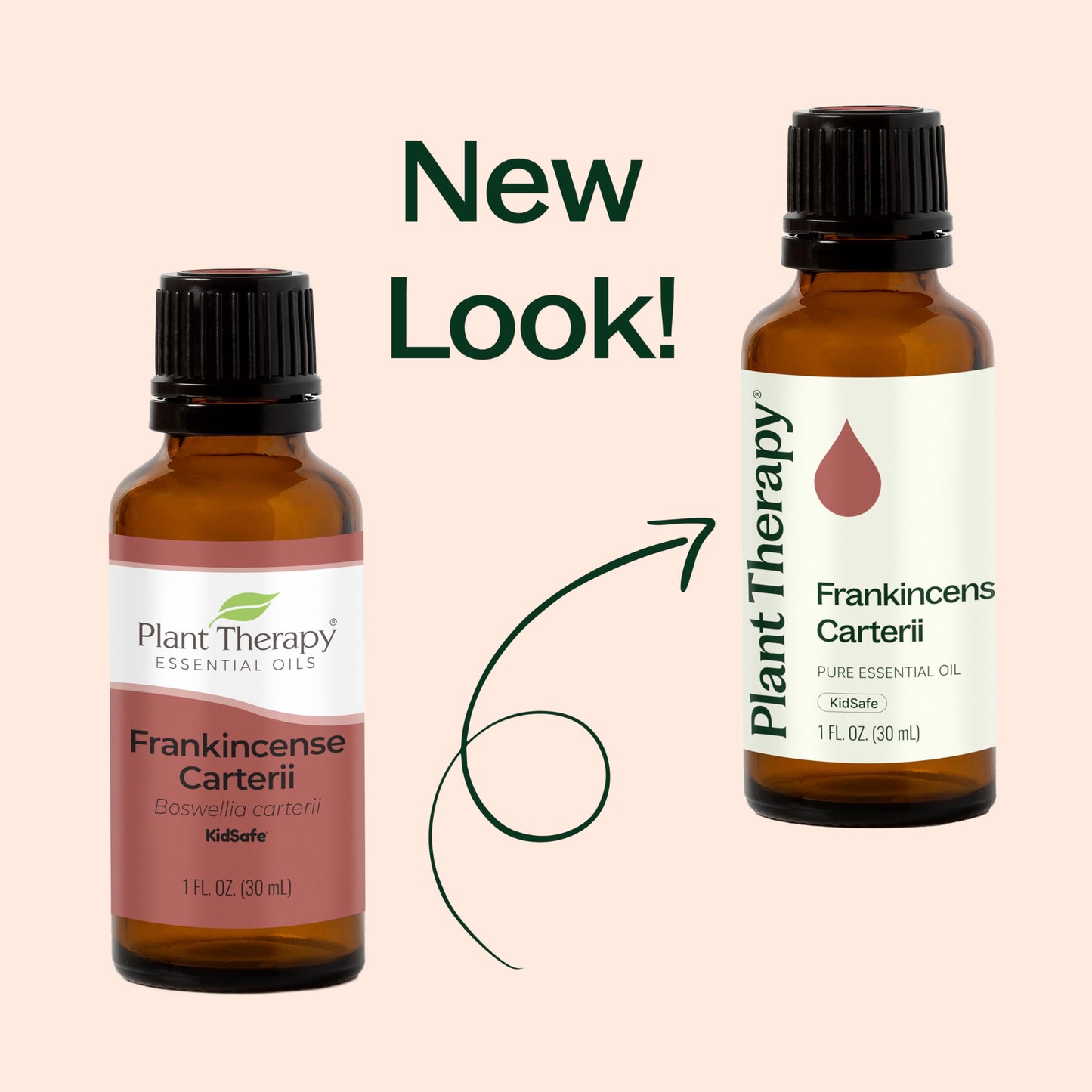 Plant Therapy Frankincense Carterii Essential Oil 100% Pure, Pre-Diluted Roll-On, Natural Aromatherapy, Therapeutic Grade 10 mL (1/3 oz)