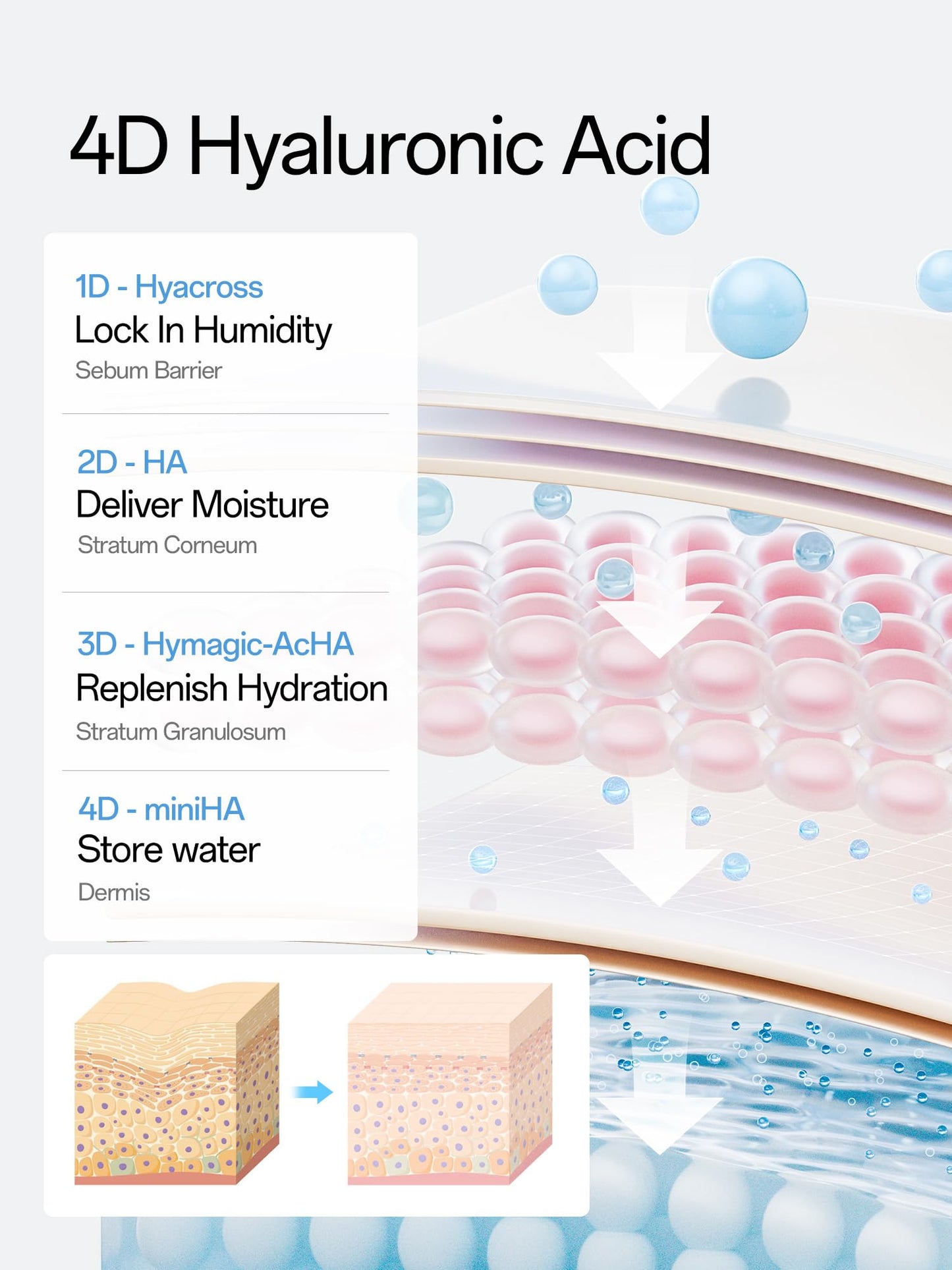 WNP 3% 4D Hyaluronic Acid Serum Ultra Hydrating Serum Smoother Skin|Pre-makeup SkinCare|Anti-Aging serum for face Single-Use Vials Skincare for Dry&Sensitive skin(1.2 ml)*30