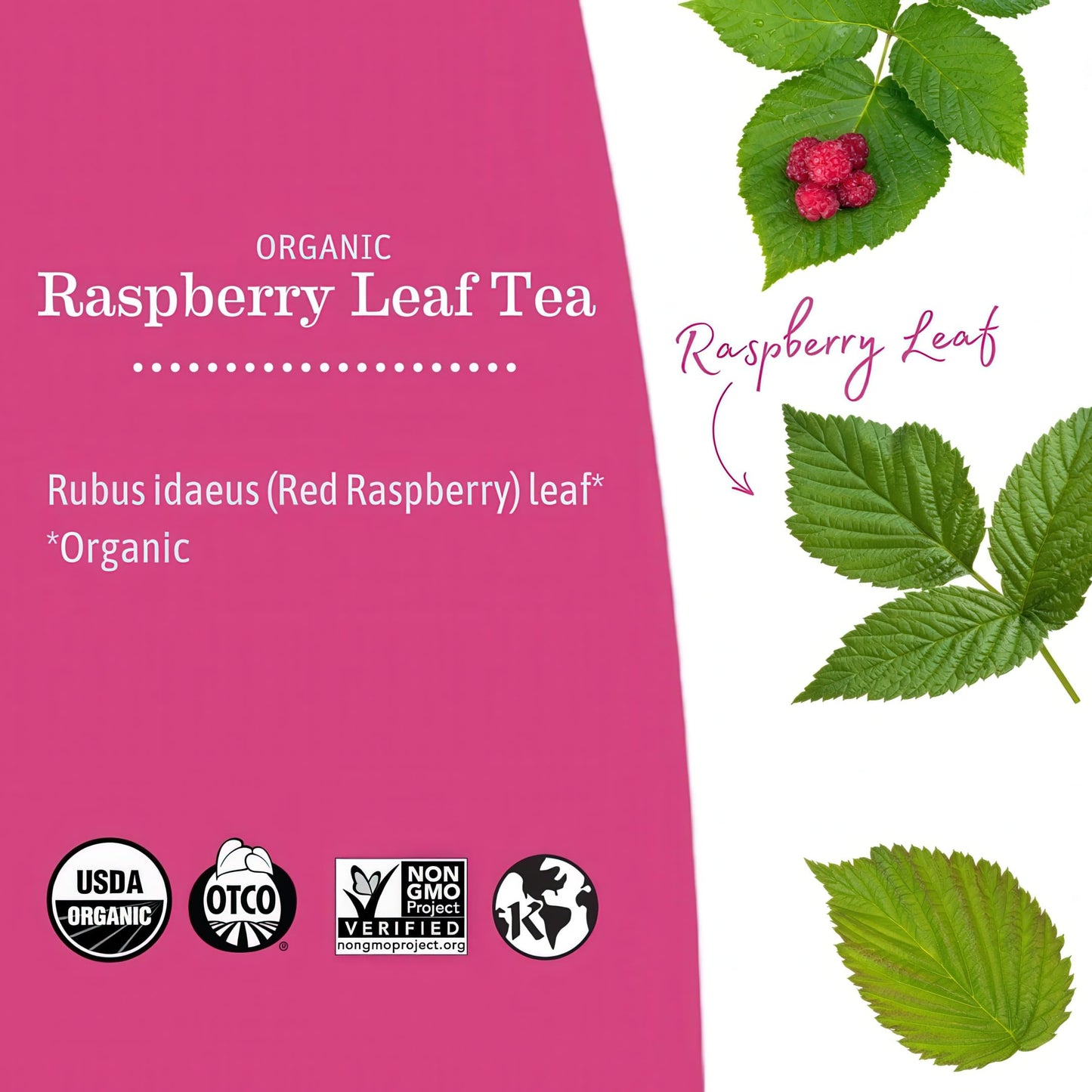Earth Mama Organic Raspberry Leaf Tea Bags | Labor Tonic & Menstrual Support Herbal Tea, Red Raspberry Leaf Tea for Pregnancy & Postpartum Care Recovery, Caffeine Free Tea, Non GMO, (16-Teabags, 2-Pk)