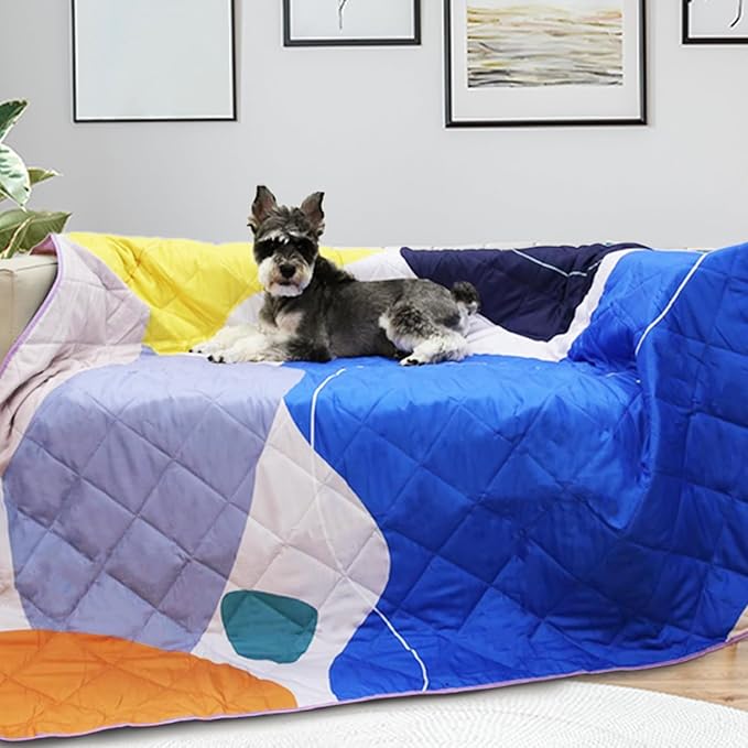 Exclusivo Mezcla Waterproof Picnic Blanket 60x80 Inches Large Multicolor Floral Polyester Sandproof Modern Camping Blanket