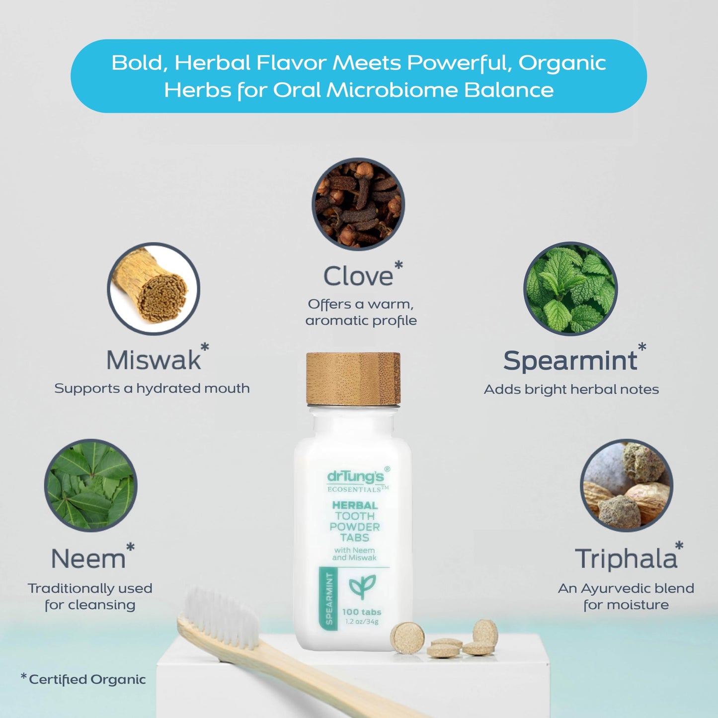 drTung's Herbal Toothpaste Tablets - Toothpaste Tabs for Dry Mouth Relief, Natural Tooth Powder Tablets for Fresh Breath, Fluoride Free, Travel Size, Vegan, Non-GMO - Spearmint (100 Tabs)