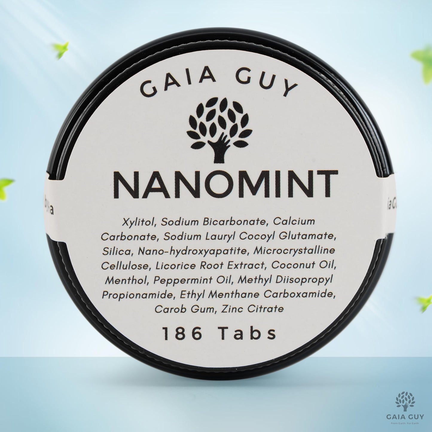 Gaia Guy | NanoMint Fluoride Free Toothpaste | Nano-Hydroxyapatite Remineralizing Toothpaste Tablets - Nano Hydroxyapatite (nHA), Plastic Free, Eco-Friendly Glass Jar | 186 Tabs