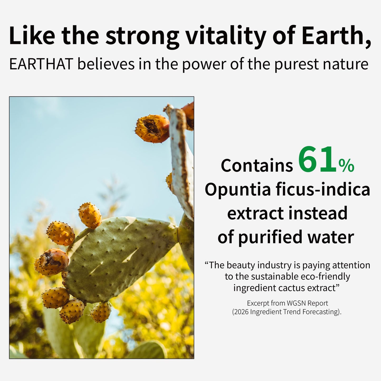 EARTHAT Panthenol Cream – Korean Skincare for Glass Skin with Airless Pump, 1.69oz | Hydrating Face Moisturizer with Centella Asiatica and Hyaluronic Acid | Soothing Barrier Repair Cream