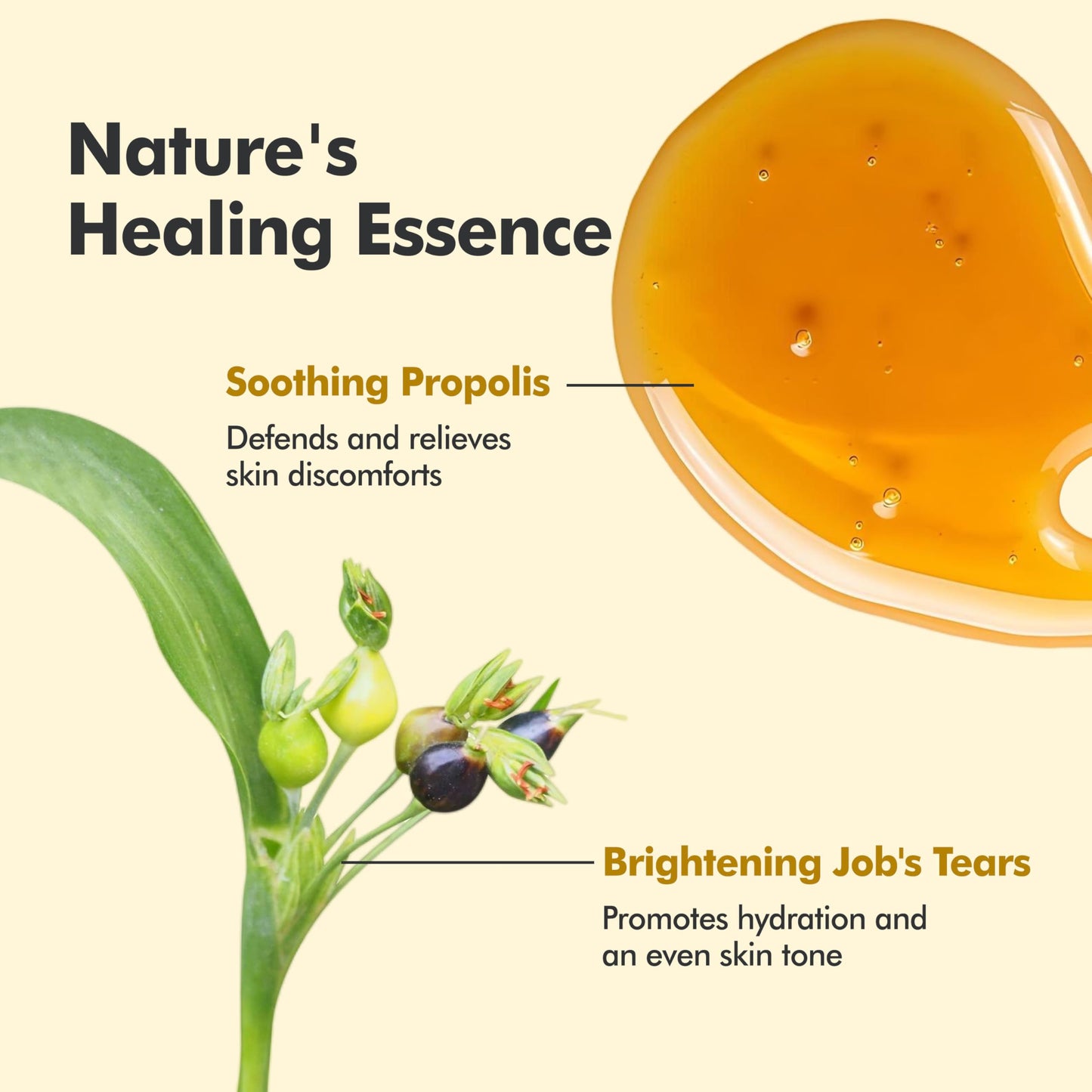 Baegayul Classic Cream Origin - Deep Hydration Face Moisturizer with Propolis & Job’s Tears, Soothing Korean Skincare for Dry and Sensitive Skin, Herbal Cream for Radiant Look (2.71fl oz)