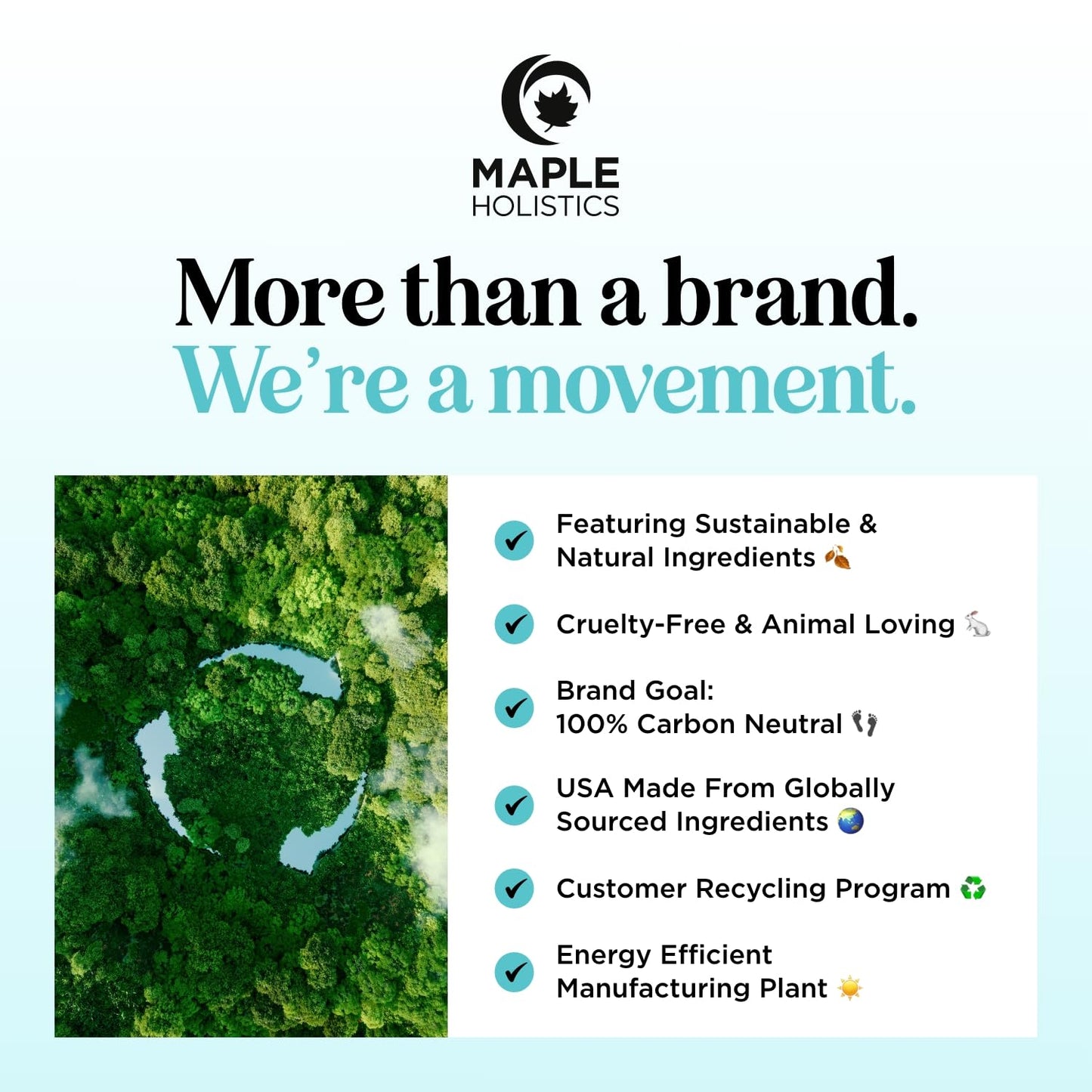 Peppermint Oil Roll on - Pure Peppermint Rollerball Essential Oil Aromatherapy Stick for Headaches - Natural Travel Essential and Pregnancy Must Have for Headaches Energy & Focus Support (1 Pack)