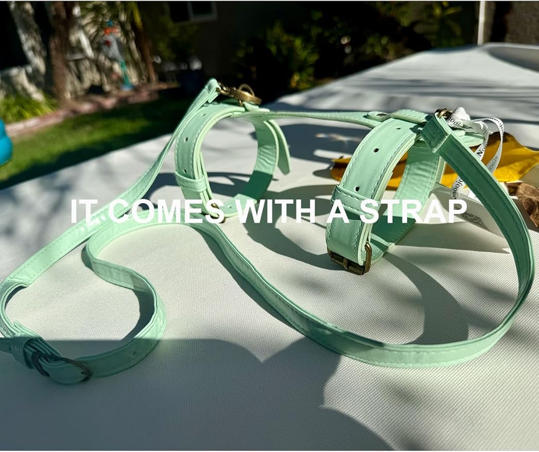 4’9” x 3’3” Compact Minimalist Water Resistant Canvas Mat,Kids/Single Use,Lightweight for Outdoor,Picnic,Beach