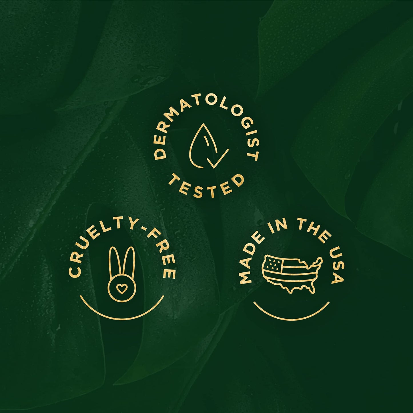 Tree of Life Beauty Anti-Aging Eye Treatment Gel Cream to Hydrate Dark Circles and Reduce Puffiness, Bags and Wrinkles, Luxe Eyebright Gel with Amino Acids