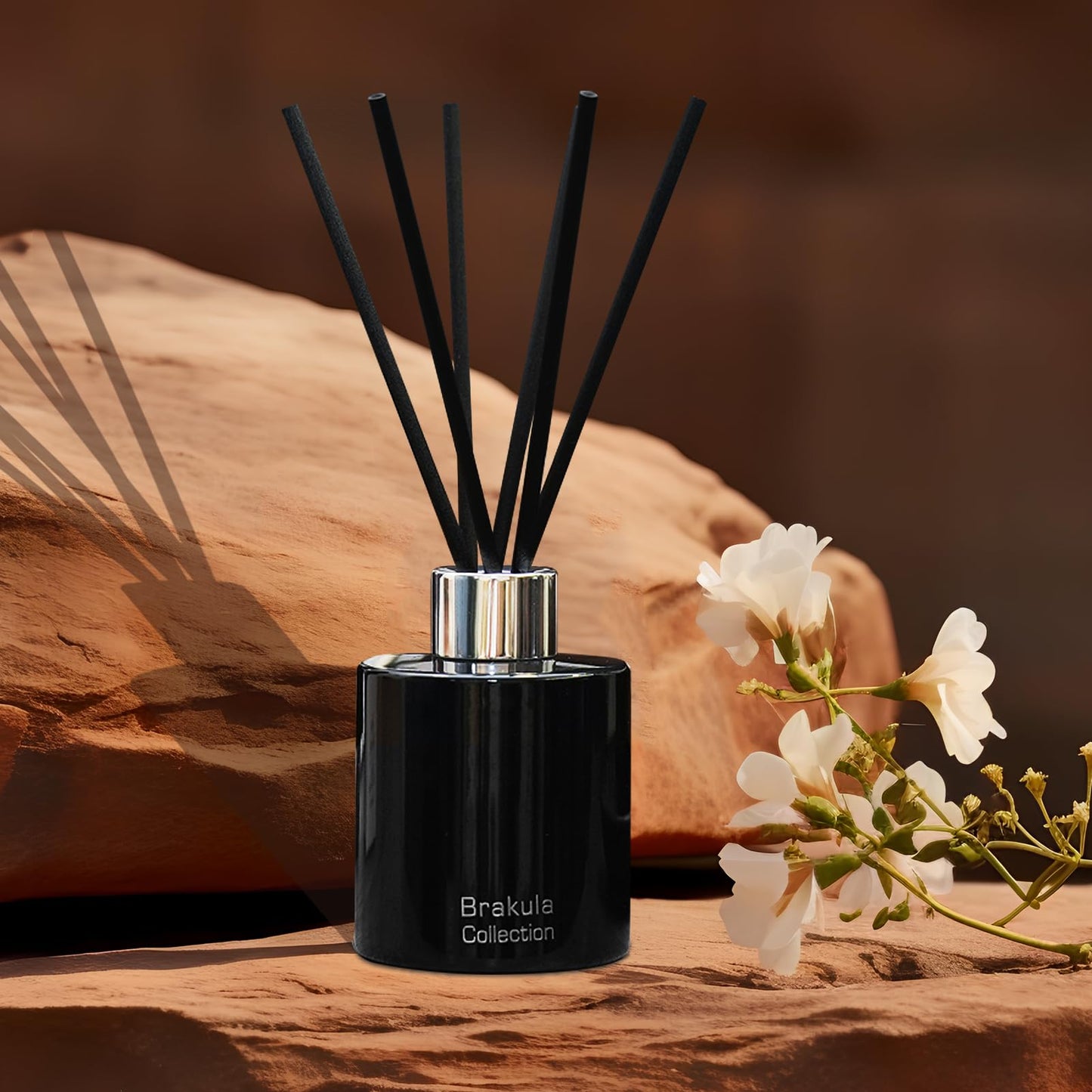 Brakula Reed Diffuser Set - Mango Scented Diffuser 4 fl.oz, 6 Sticks, 118ml for Home Fragrance and Bathroom Decor