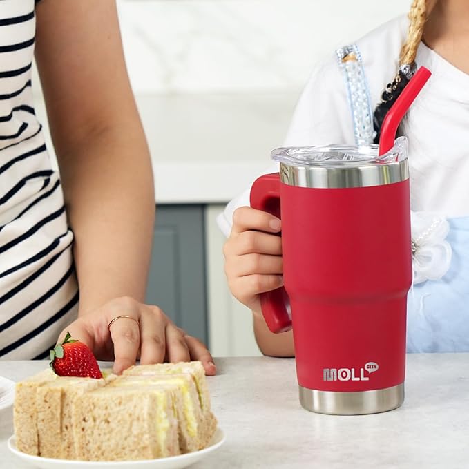 Kids Tumbler with Handle-16 oz Stainless Steel Vacuum Insulated Water Cup with Lid and Straw for Travel, Cupholder Friendly-Gift for Girl-Canyon Red