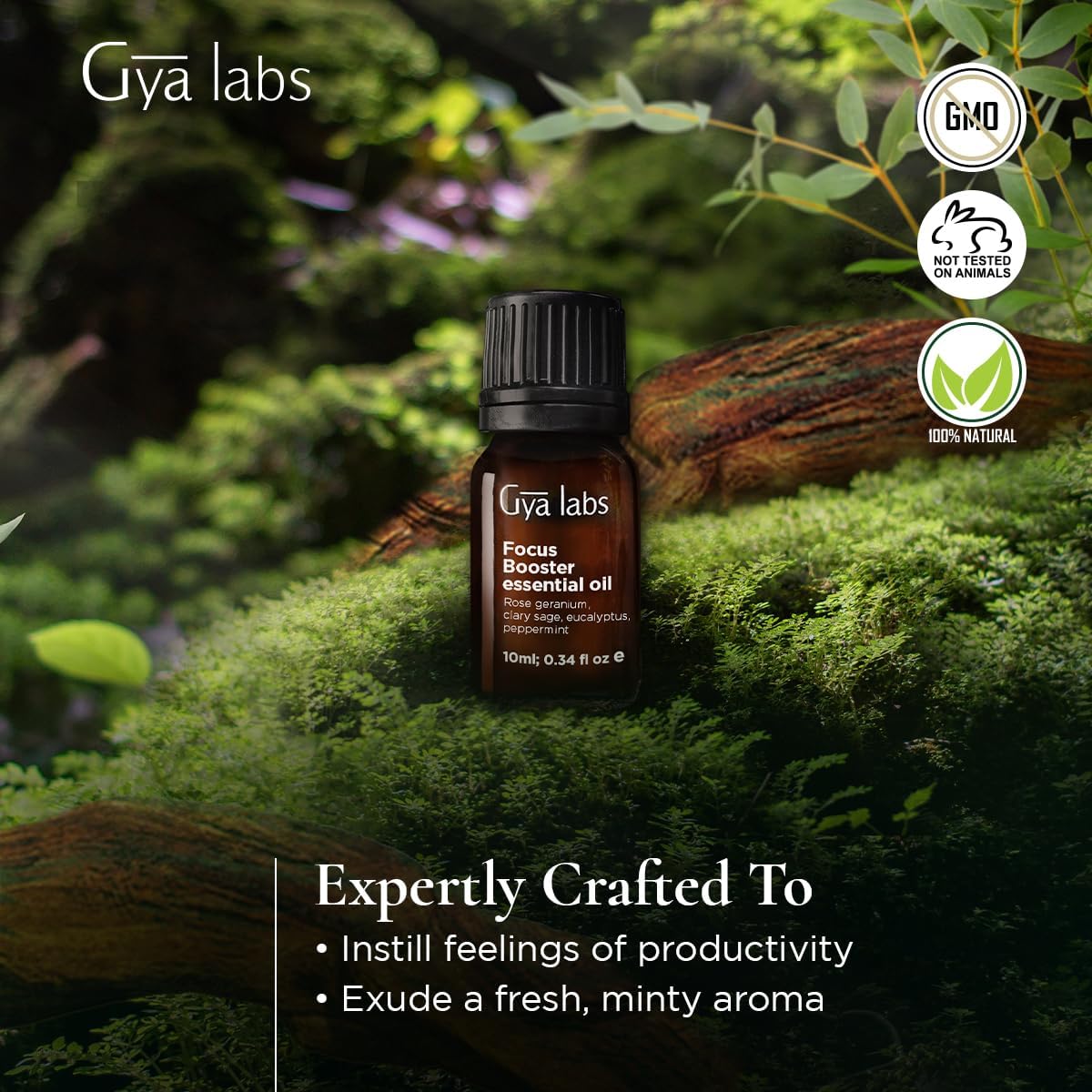 Gya Labs Focus Booster Essential Oil Blend - 100% Pure Natural Focus Essential Oil - Fresh & Minty Scent (0.34 Fl Oz)