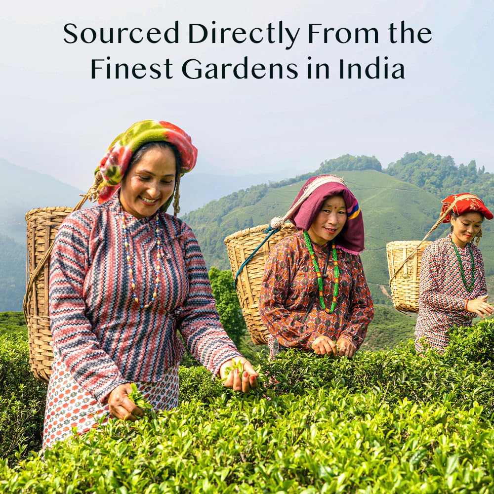 VAHDAM, Assorted Herbal Tea Sampler (18 Tea Bags, 9 Flavors) Caffeine-Free, Non-GMO | Double Infusion, Individually Enveloped Tea Bags | Herbal Tea Assortment