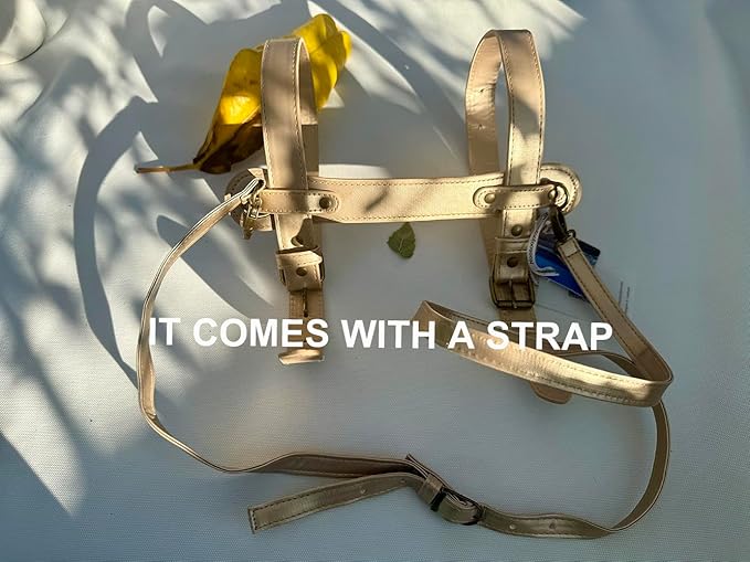 4’9” x 3’3” Compact Minimalist Water Resistant Canvas Mat,Kids/Single Use,Lightweight for Outdoor,Picnic,Beach