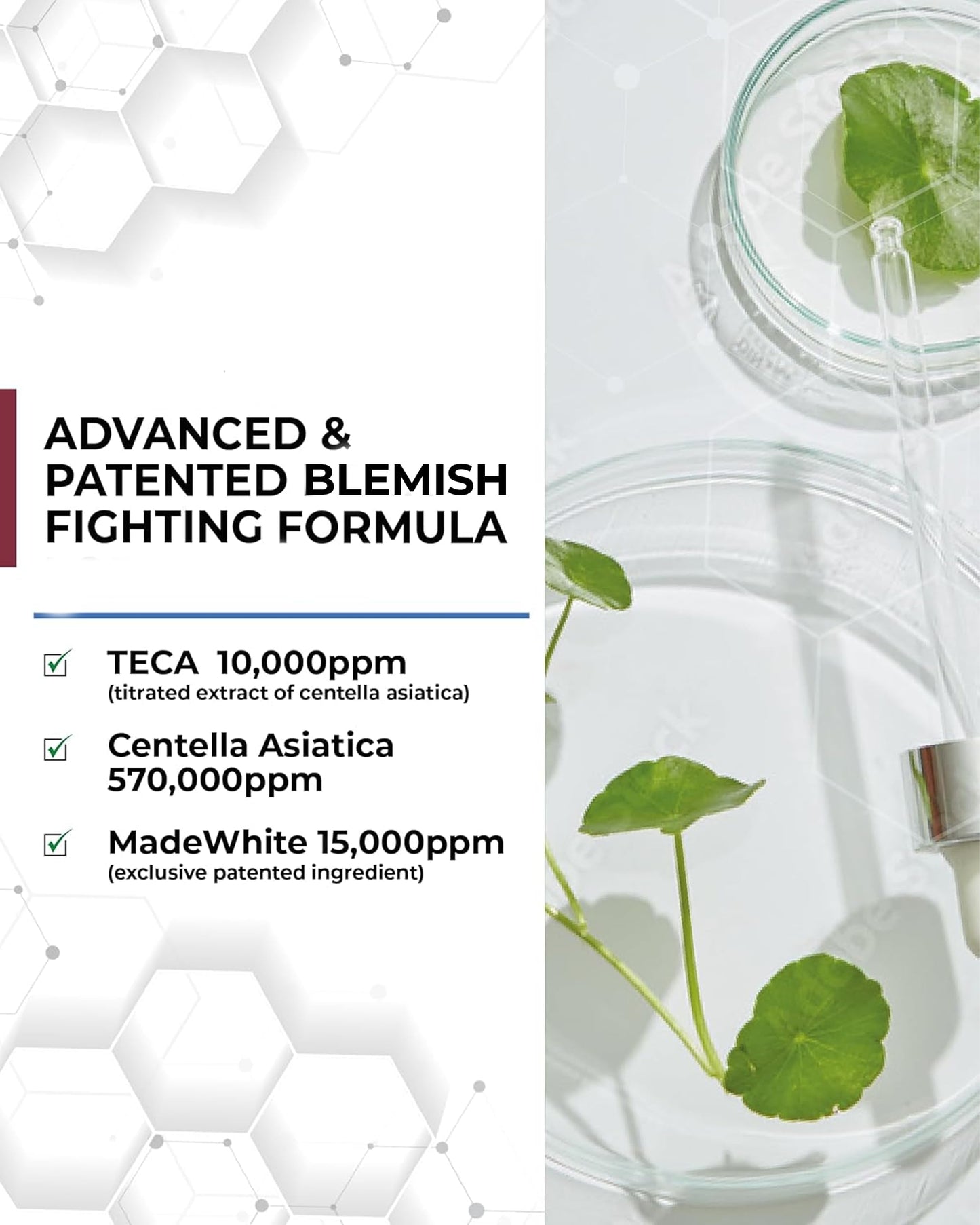 Centellian 24 Expert Ampoule (Season 2, 0.2fl oz x 4 pcs) - Korean Serum for Face. Soothing, Even Tone, Dry Sensitive Skin. TECA, Centella Asiatica, Gotu Kola