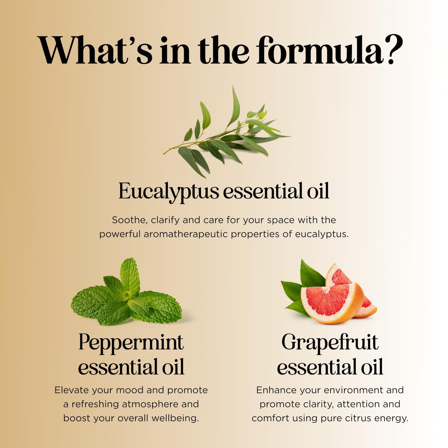 Focus Essential Oil Blend for Diffusers - Aromatherapy Essential Oils Blend for Home and Travel Energy Focus and Attention Support with Grapefruit Bergamot Peppermint and Eucalyptus (2 Fl Oz)