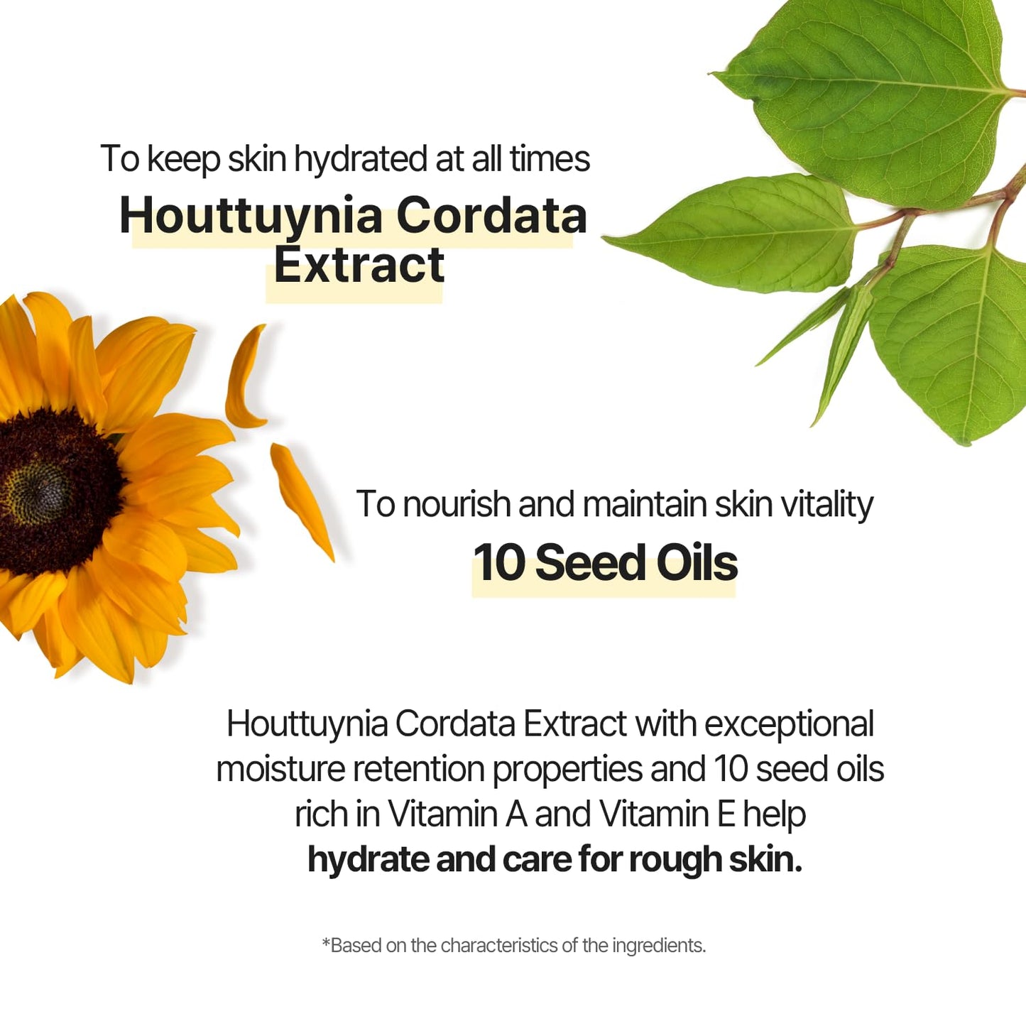 AVCA True Vitamin C Serum 3.38fl.oz. - for Dark Spots Remover Facial Serum with Vitamin C, Niacinamide, Korean Skin Care