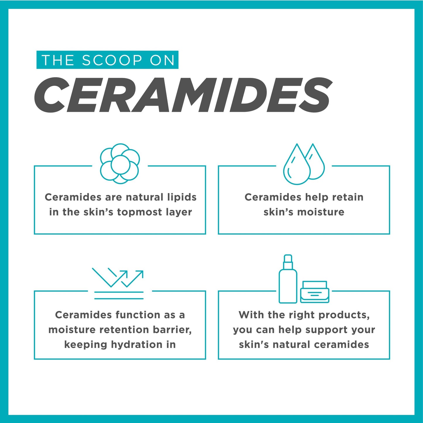 Curel Japanese Skin Care Travel Size Toiletries, for Dry, Sensitive Skin, Travel Size Face Wash, Lotion, & Makeup Remover