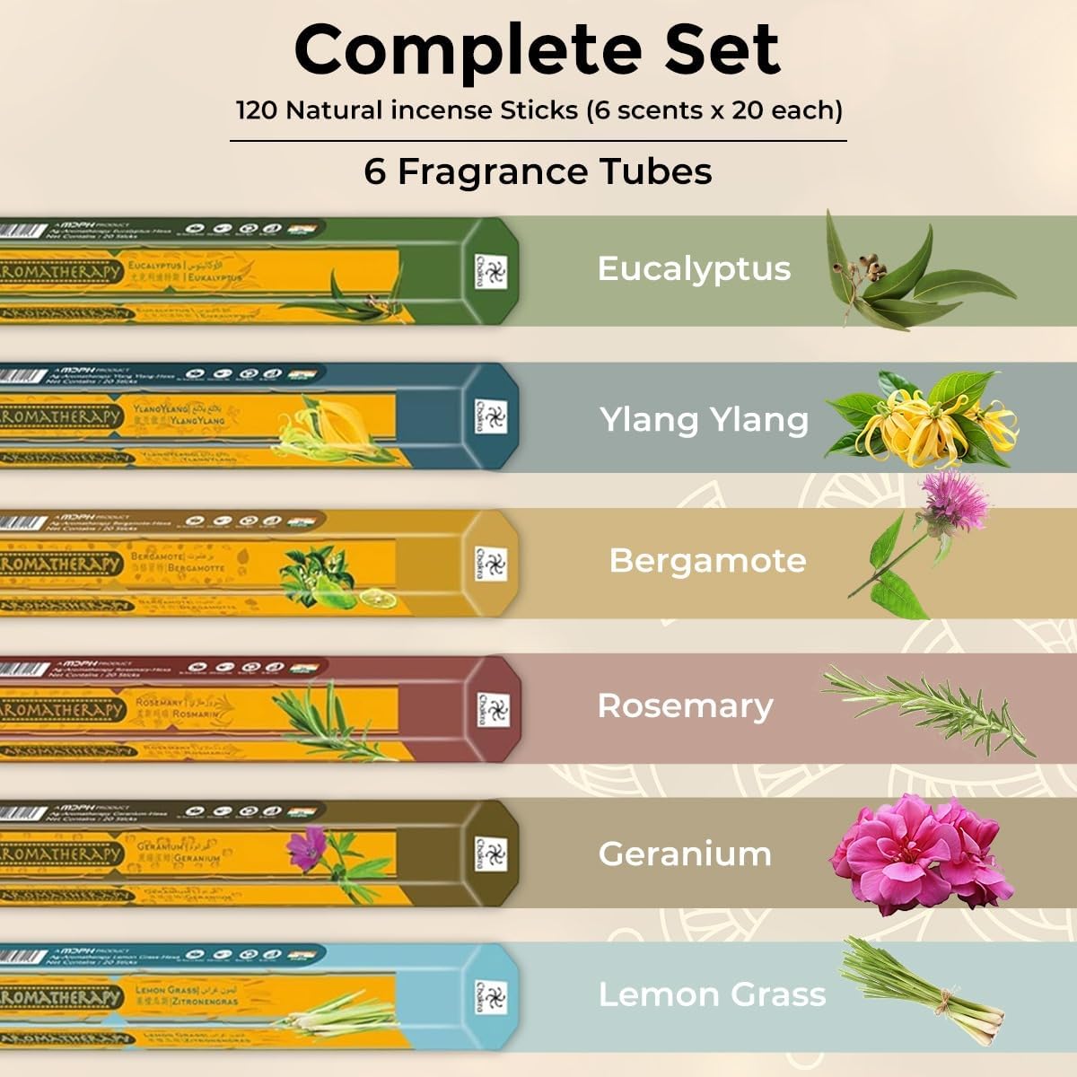 Chakra Aromatherapy Incense Gift Pack – 120 Natural Sticks (6 Boxes) – Relaxing, Stress Relief, Meditation, Refreshing, Sensuality & Energising Scents – Eucalyptus, Geranium & More