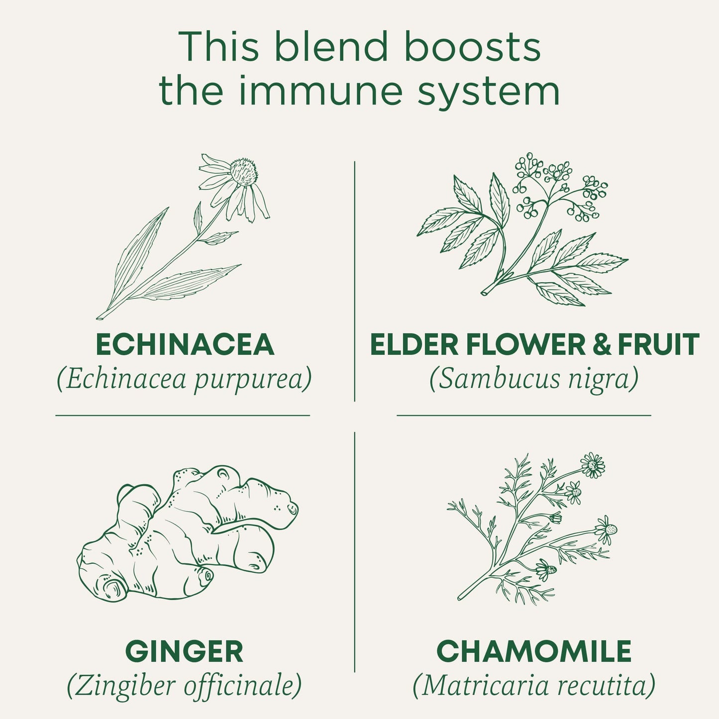 Traditional Medicinals Tea, Organic Echinacea Plus Elderberry, Boosts the Immune System, 16 Tea Bags