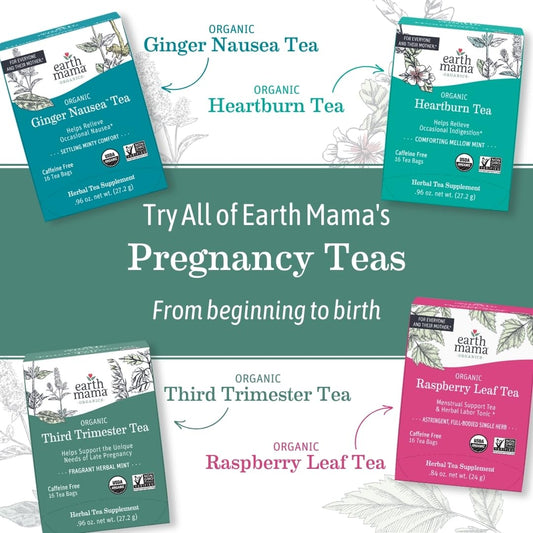 Earth Mama Organic Peaceful™ Tea | Stress Less! Calming, Relaxing Herbal Blend Safe for Pregnancy & Beyond, 16 Teabags Per Box