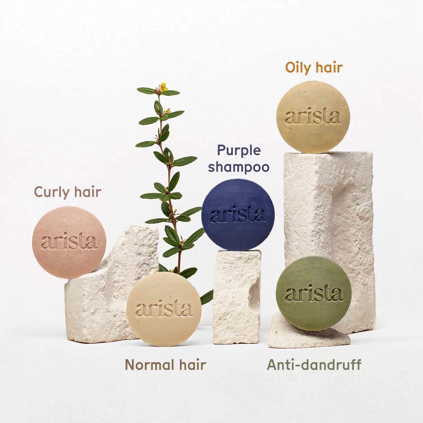 Arista Ayurveda Shampoo Bar with Curly Hair Sweet Almond Oil, Reetha Fruit Powder & Shea Butter, Moisturizing for Curly Hair, Travel size