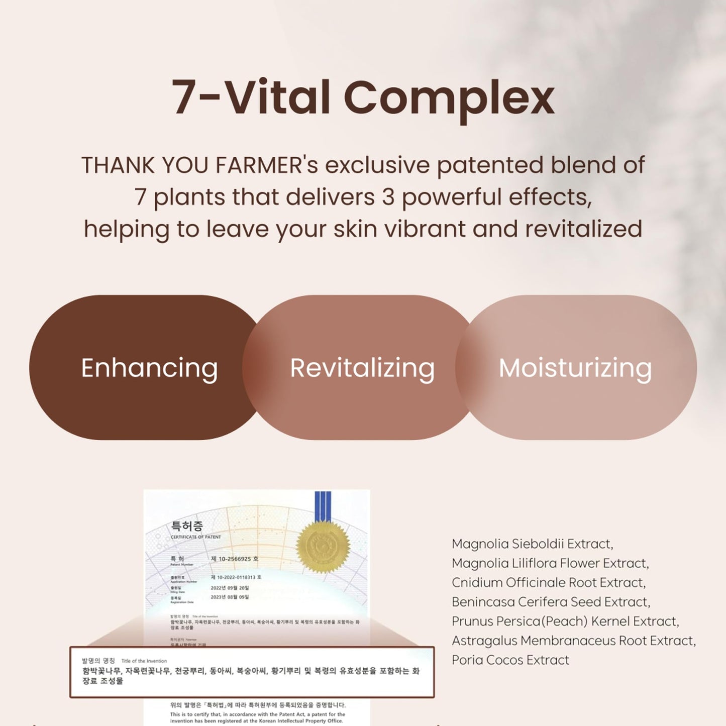 THANKYOU FARMER BakuVita Revitalizing Ampoule - Bakuchiol Retinol Alternative, Vitamin C + E Korean Serum, Pore Care, Firming, Vegan 1.75 fl oz (50ml)