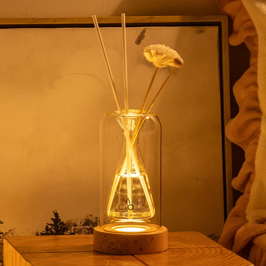 Empty Fragrance Glass Reed Diffuser Bottles with 5pcs Reed Diffuser Sticks,Luminous Base,Decorative Flower Bud Fragrance Accessories Use for DIY Replacement Reed Diffuser Sets,Triangle