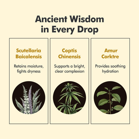 Baegayul Classic Cream Origin - Deep Hydration Face Moisturizer with Propolis & Job’s Tears, Soothing Korean Skincare for Dry and Sensitive Skin, Herbal Cream for Radiant Look (2.71fl oz)