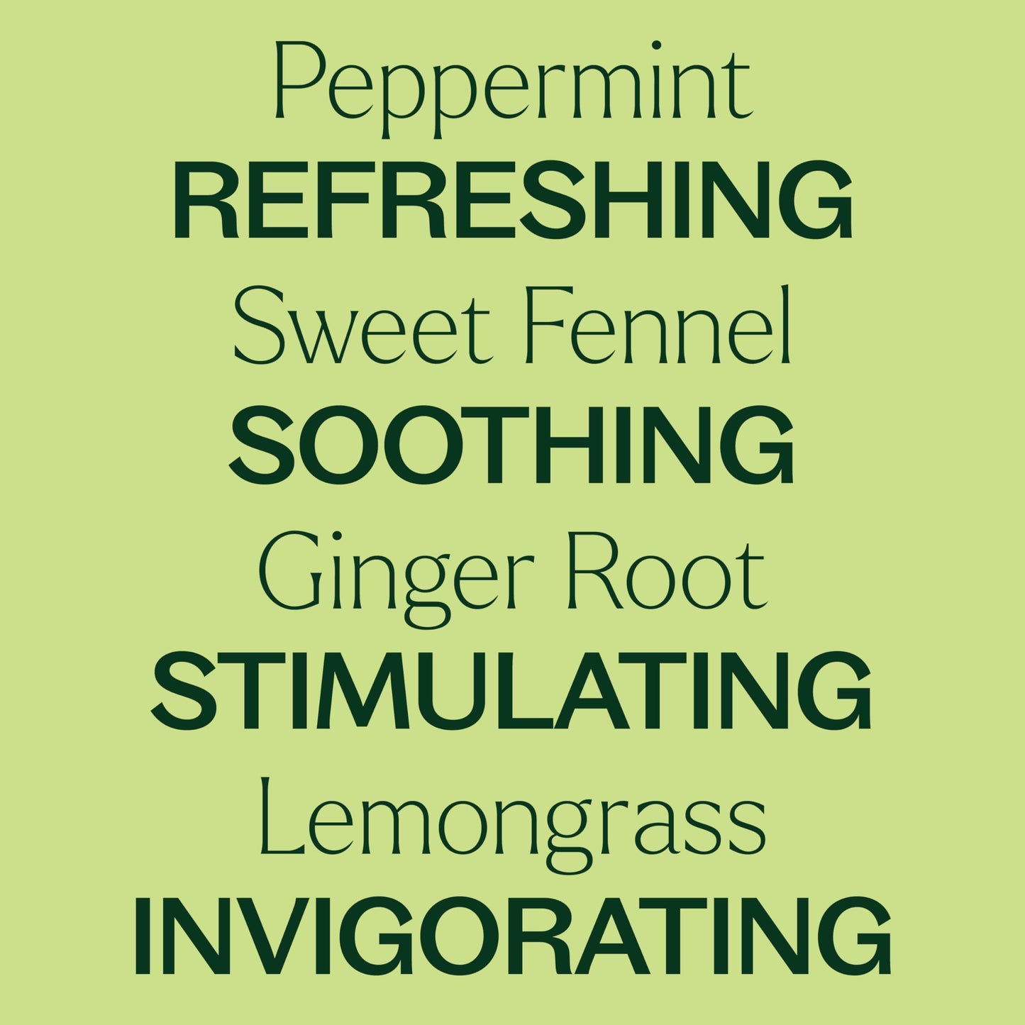 Plant Therapy Gut Aid Essential Oil Blend Roll-On 10 mL (1/3 oz) 100% Pure, Pre-Diluted Roll-On, Natural Aromatherapy