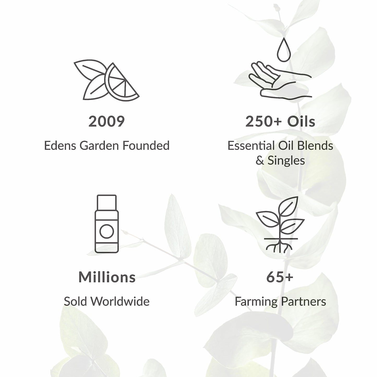 Edens Garden Sound Asleep Essential Oil Roll-On Blend- 100% Pure Premium Grade, Natural, Therapeutic, Aromatherapy, Kid & Skin Safe, The Best For Body, Travel, Relaxation Pre-Diluted 10 ml (.33 fl oz)