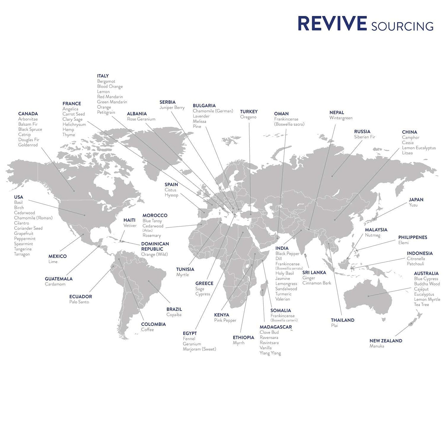 Stress Easy Roll-On by Revive Essential Oils - 100% Pure Therapeutic Grade, for Diffuser, Humidifier, Massage, Aromatherapy, Skin & Hair Care