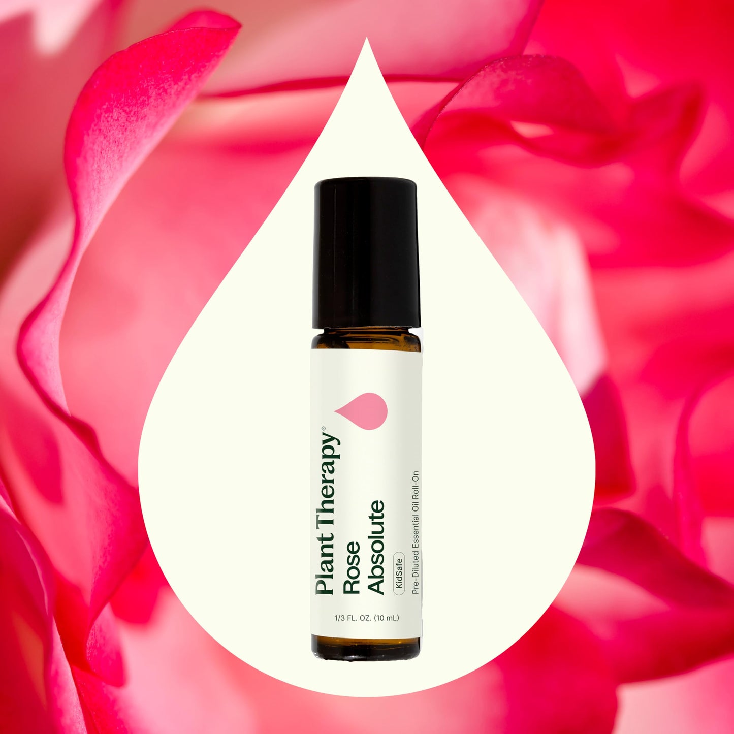 Plant Therapy Rose Absolute Pre-Diluted Essential Oil Perfume Roll-On 10 mL (1/3 oz) 100% Pure, Natural Aromatherapy, Therapeutic Grade