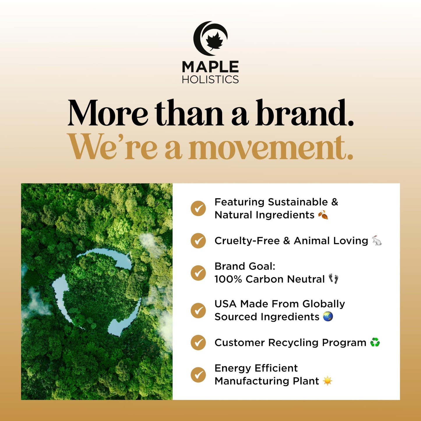 Focus Essential Oil Blend for Diffusers - Aromatherapy Essential Oils Blend for Home and Travel Energy Focus and Attention Support with Grapefruit Bergamot Peppermint and Eucalyptus (2 Fl Oz)