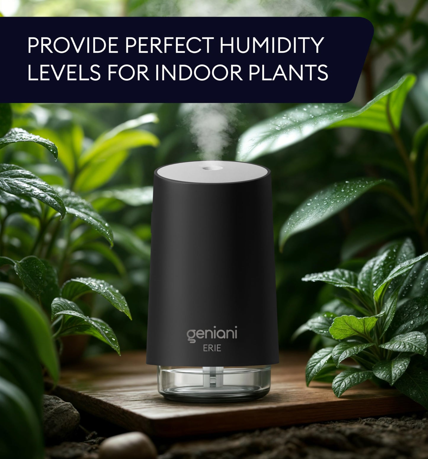 GENIANI Portable Small Cool Mist Humidifier β USB Powered (Not Rechargeable), Compact Desktop Humidifier for Plants, Office, Baby Room β Auto Shut Off & Night Light β Black, 0.25L