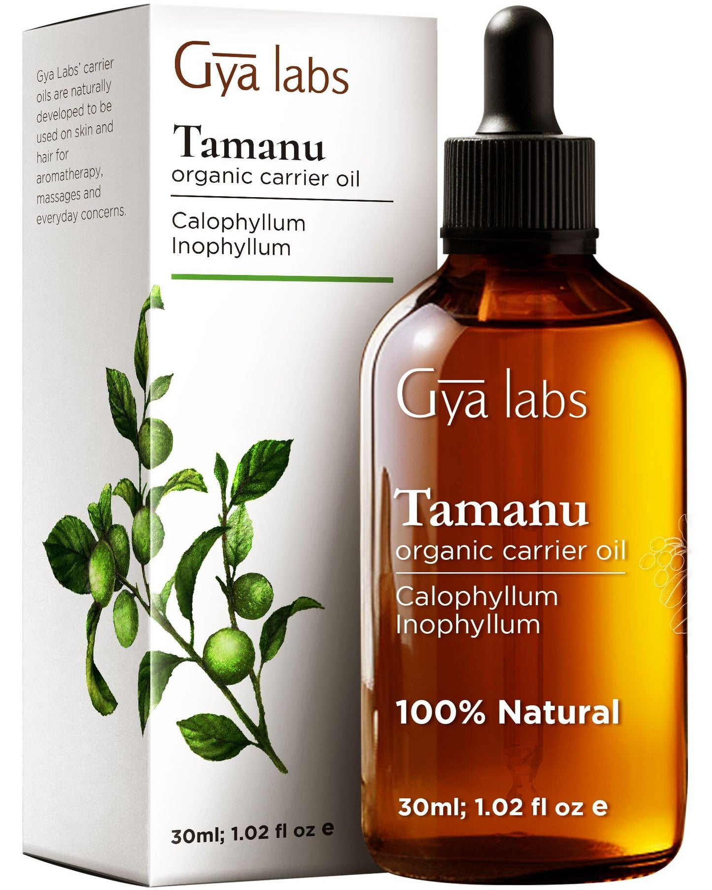 Gya Labs Organic Tamanu Oil For Skin & Face - 100% Pure Natural Unrefined Tamanu Carrier Oil for Hair - Soothing & Renewing (1 Fl Oz)