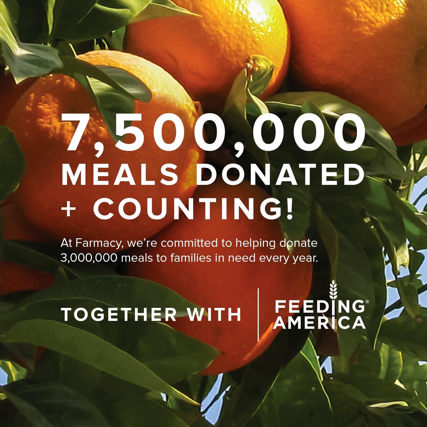 Farmacy Gentle Creamy Face Cleanser - Hydrating Facial Cleanser to Nourish & Help Remove Makeup & Impurities - Enriched with Aloe & Moringa Oil to Soothe, Purify & Refresh Skin (50ml)