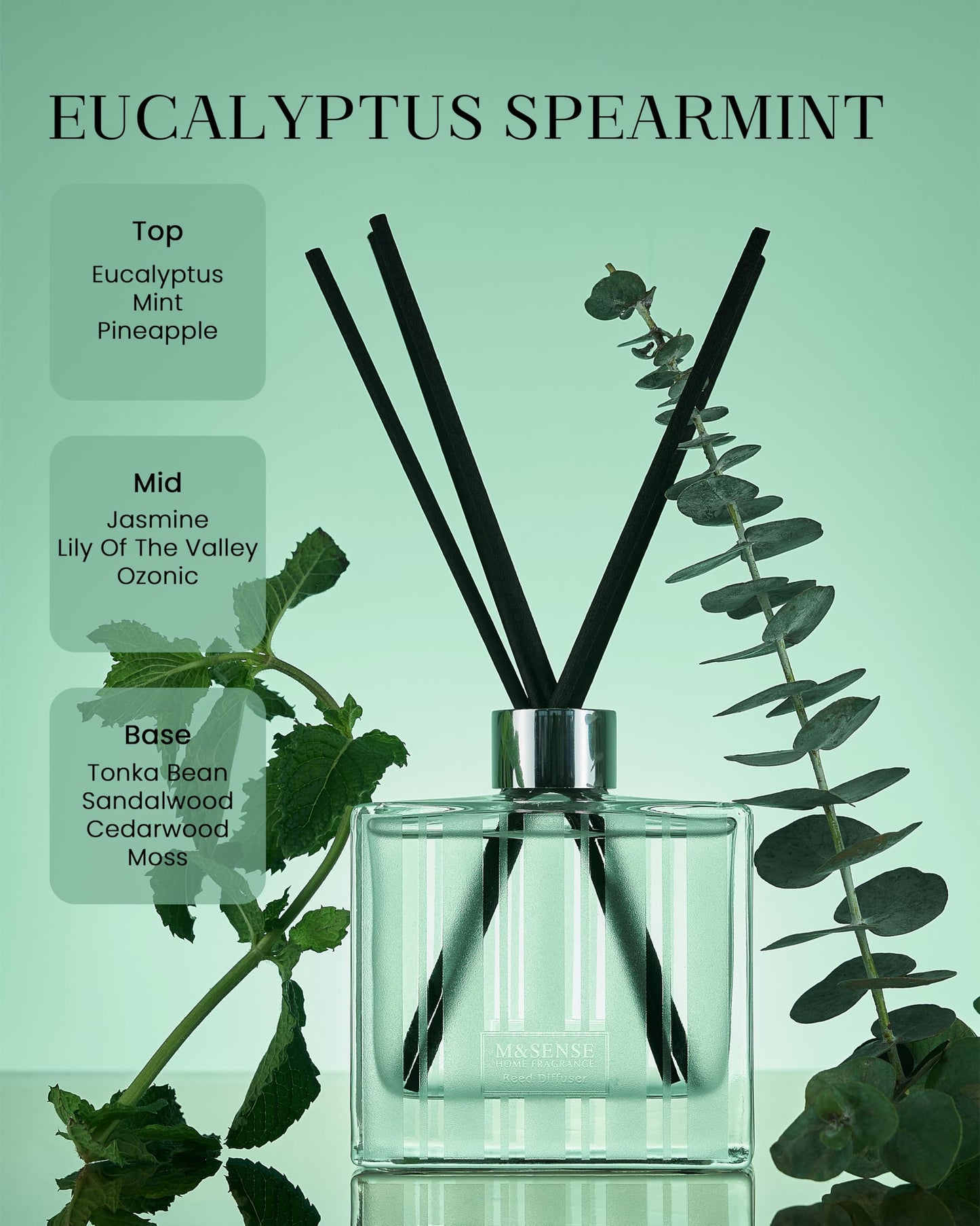 M&SENSE Eucalyptus Spearmint Reed Diffuser Set - 7.04oz Diffuser with Sticks, Rich Fragrance & Refreshing Non-Toxic Scent for Home Bathroom Office Study Other Workspaces Needing Focus, Gifts for Women