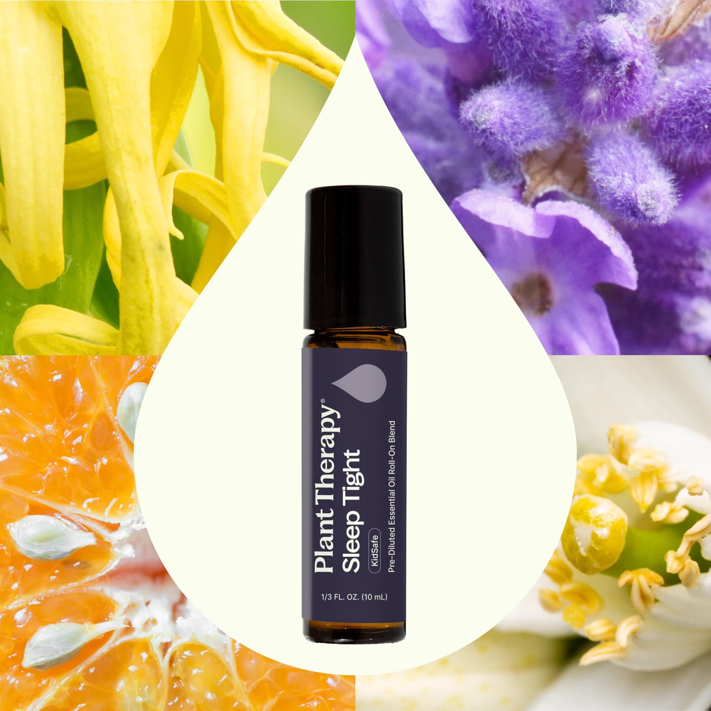 Plant Therapy Sleep Tight Essential Oil Blend 10 mL (1/3 oz) Pre-Diluted Roll-On 100% Pure, Therapeutic Grade