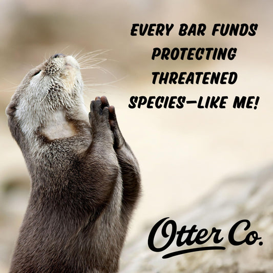 Otter co. Anti Dandruff Tea Tree Shampoo Bar – Nettle, Zinc, Green Tea, Apple Cider Vinegar, Anti Fungal Shampoo – Vegan, Natural, Cruelty & Sulfate Free – All Hair Types & Dry Scalp, USA Made