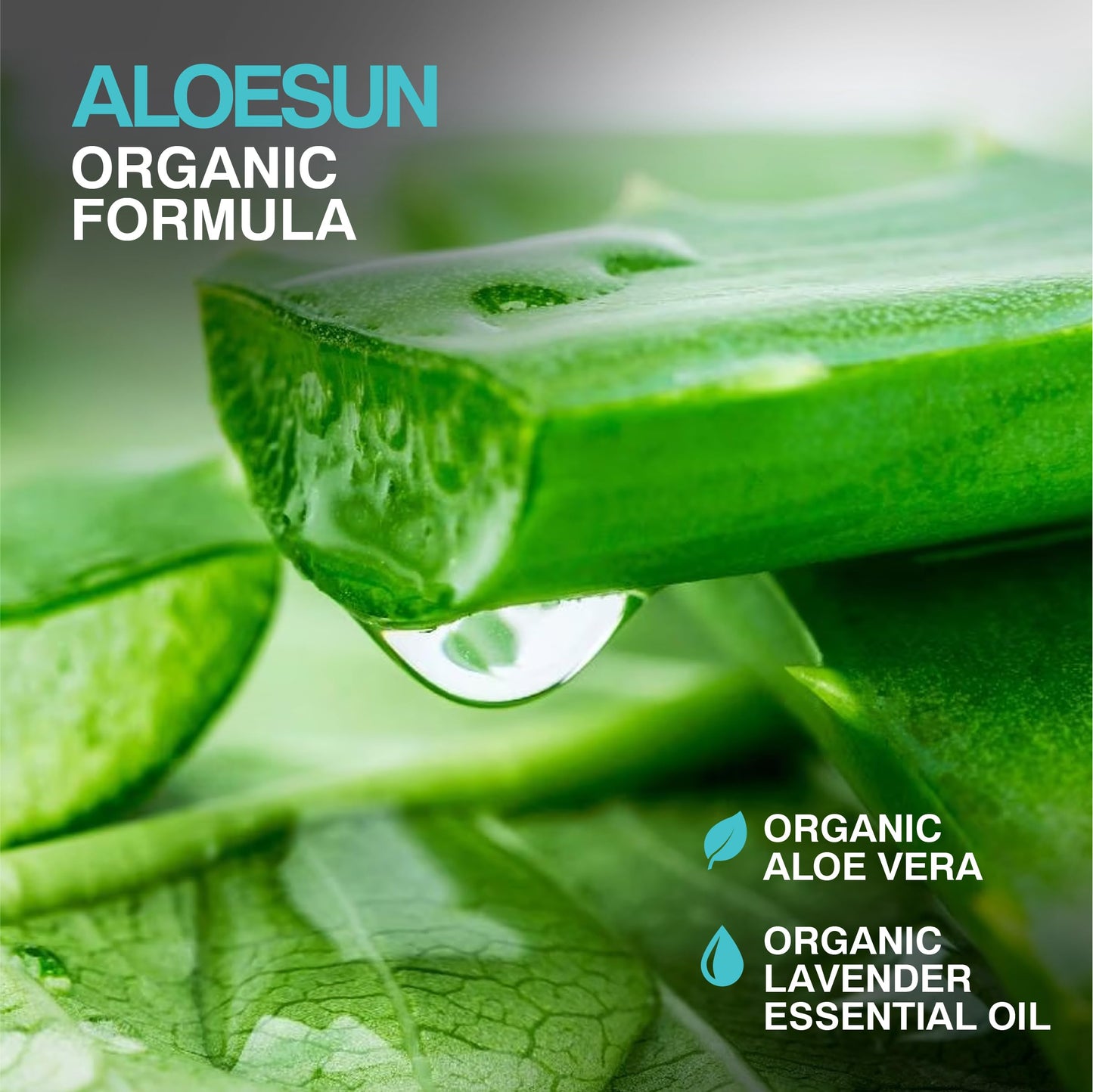 ALOESUN After Sun Face and Body Spray | Non Sticky Organic Aloe Vera for Sun Exposure Relief with Pure Lavender Essential Oil | Natural Aftersun Skin Moisturizer for Redness | Travel Size 3.4 Fl Oz