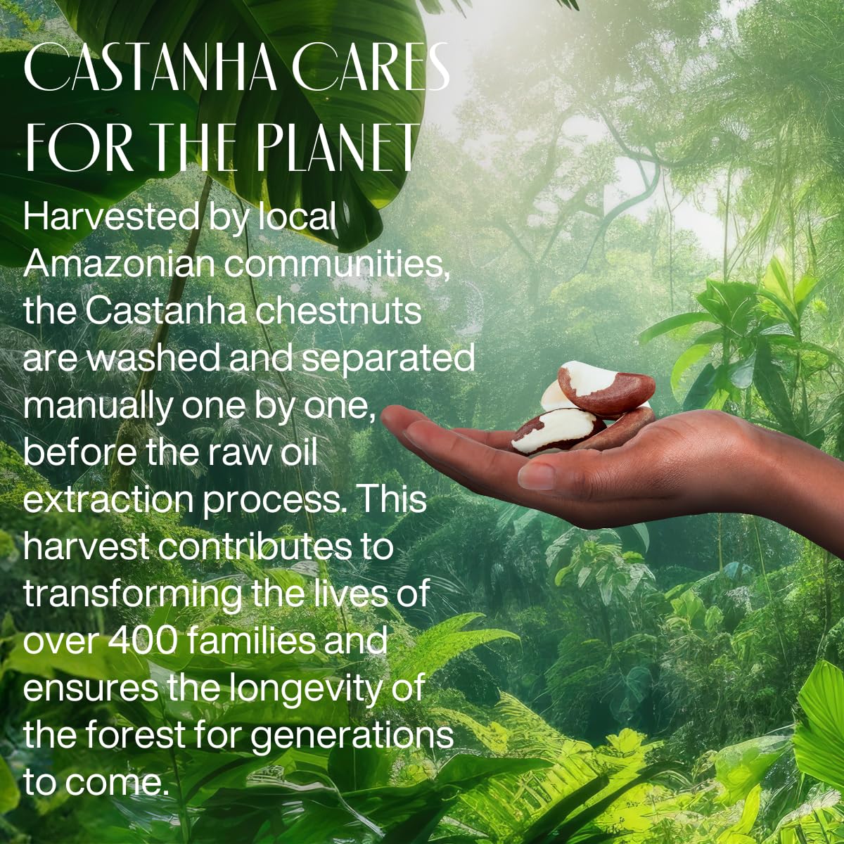 Natura - Ekos Castanha Collection Bio-Beauty Gift Set (4 Products) - Body Lotion, Hand Cream, Foot Cream, Shower Gel - Gift Box - Vegan Skin Care - Brazilian Beauty Secrets - Self Care & Body Care