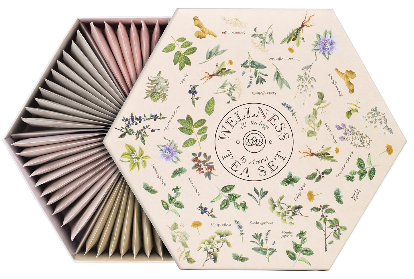 ACORUS Wellness Tea Set – Natural Herbal Tea Variety Pack, Gift Set of 6 Different Teas, 60 Bags Individually Wrapped, Herbal Sampler Box, Harmonious Balance of Taste & Aroma