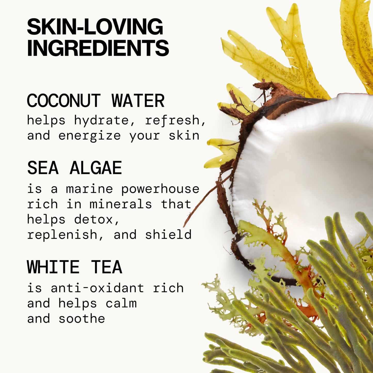 Pacifica Face Wash - Sea Foam Mini Travel Size, Skincare, Daily Gentle Foaming Cleanser, Makeup Remover, Face Cleanser, Skin Care, For Combination and Oily Skin, Vegan, 1.4 fl oz (1 Count)