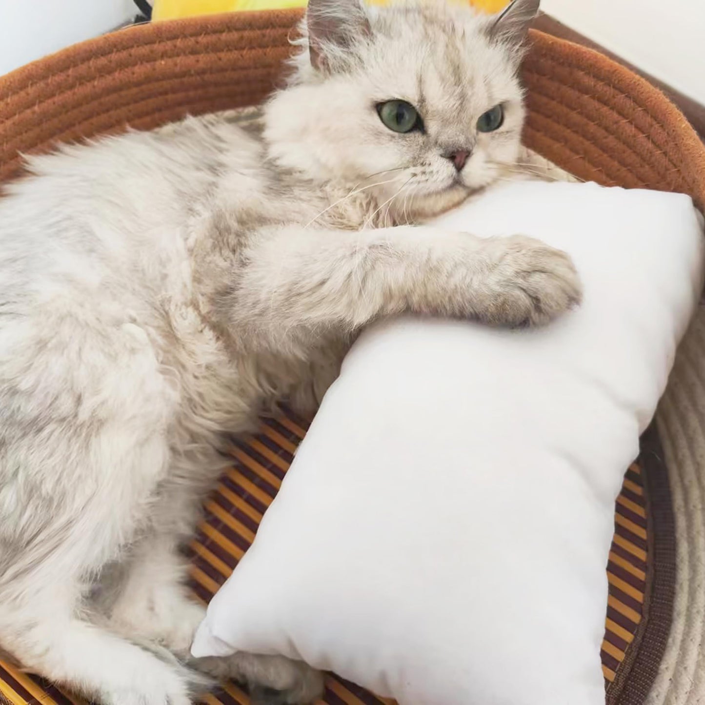 BEDSUM 2 Pack Tiny Pillows, 11"x7" Microfiber Mini Pillows for Travel, Pets, Soft and Machine Washable Small Pillows for Neck, Wrist, and Knee Comfort, White