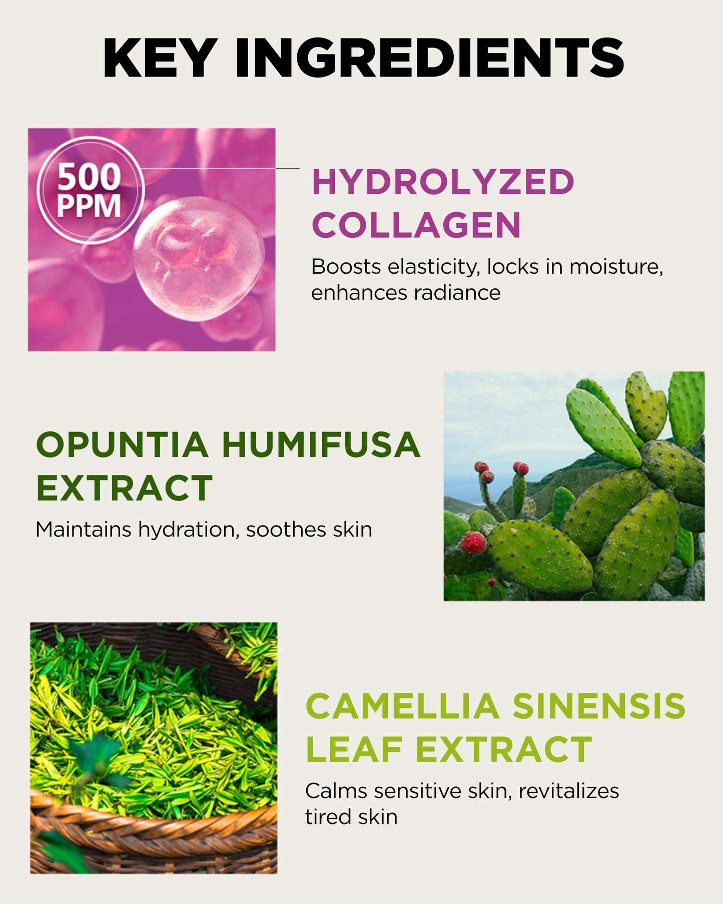 MAY ISLAND 7 Days Highly Concentrated Collagen Ampoule - Korean Intensive Firming Serum with Hydrolyzed Collagen - Single-Use Individual Gel Ampoules for Elasticity & Anti-Aging, 0.1oz. x 12 Pack