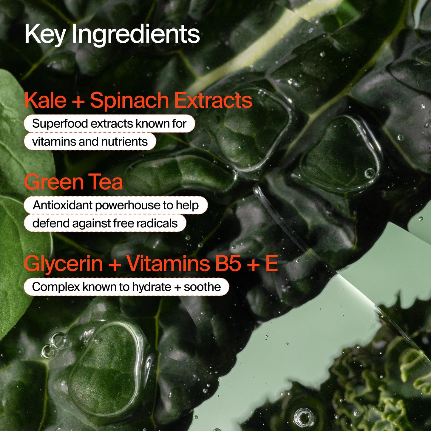 Youth To The People Superfood Daily Duo Kit - Travel Size Superfood Cleanser (2oz) + Air-Whip Moisture Cream (2oz) - Dewy Hydration - Vegan Face Wash + Face Cream Moisturizer Skincare Gift Set