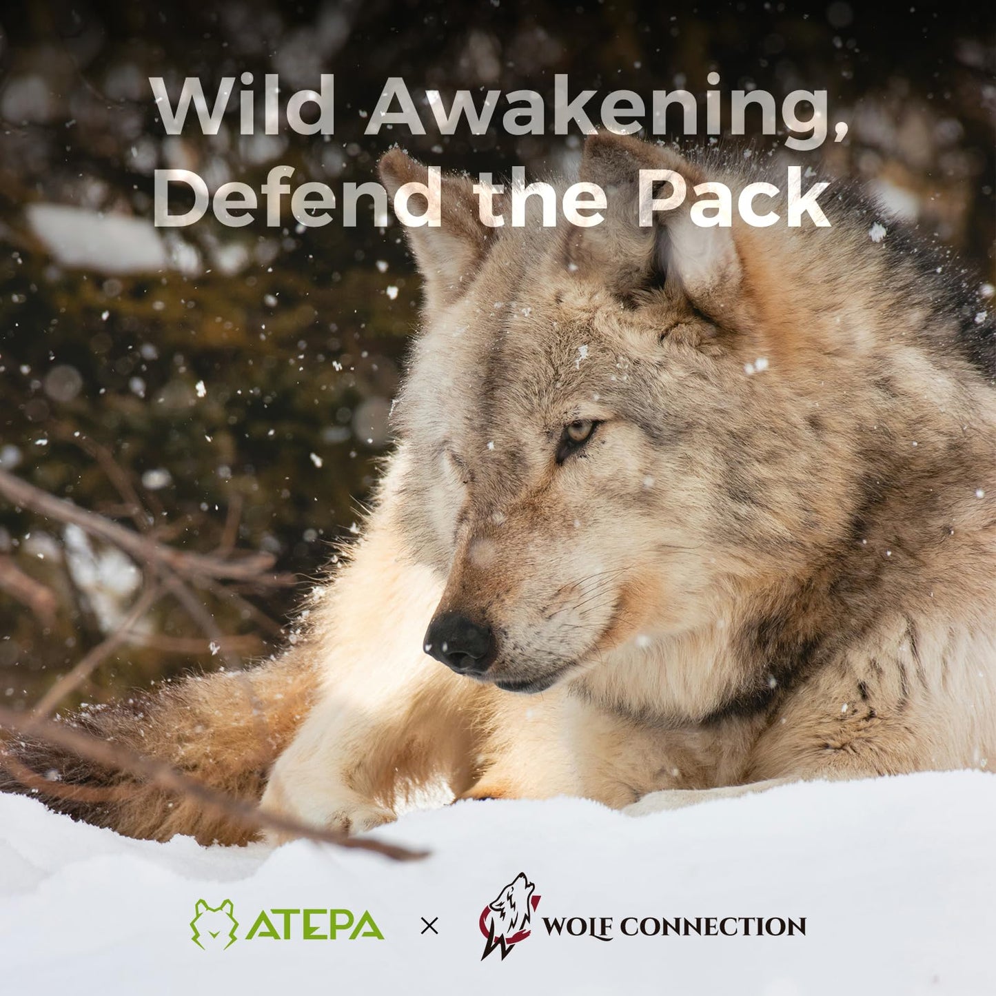 ATEPA Inflatable Camping Pillow, Ultralight Waterproof Travel Pillow with Ergonomic Support & Leak-Proof Air Valve, Compact Portable Pillow for Hiking Backpacking Tent Airplane Beach, Black