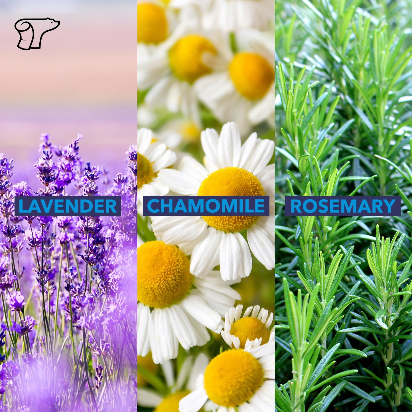 TheraICE Soothing Head Stick 10 ml (.33-Oz) Essential Oil Roll on Aromatherapy: Peppermint, Spearmint, Lavender, Chamomile, Rosemary, Eucalyptus. Metal Roller. USA Made