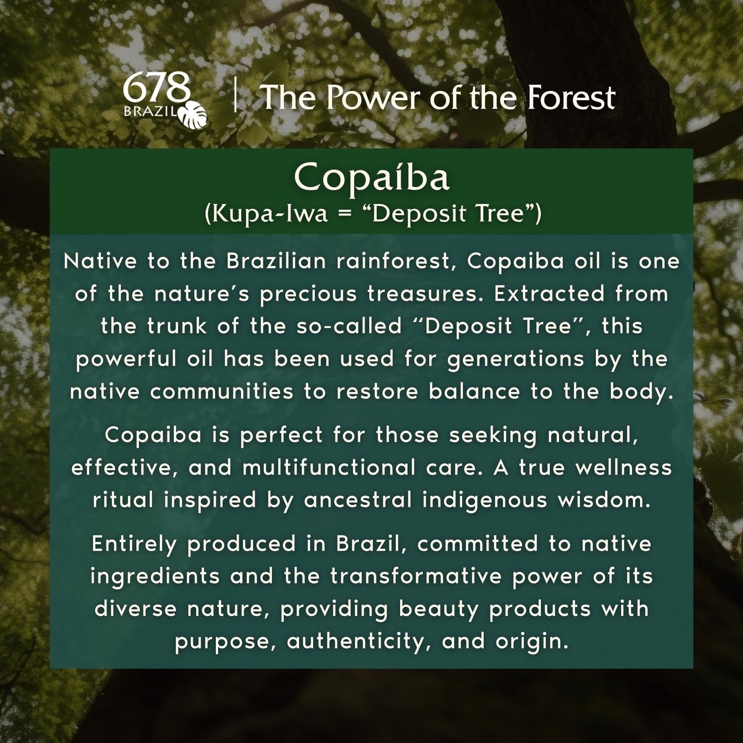 678Brazil Soothing Gel - Soothes, Refreshes, and Calms the Skin - Daily Use - For All Skin Types - with Copaiba, Passion Fruit, Aloe Vera, Panthenol, Hyaluronic Acid - 17.63 Oz